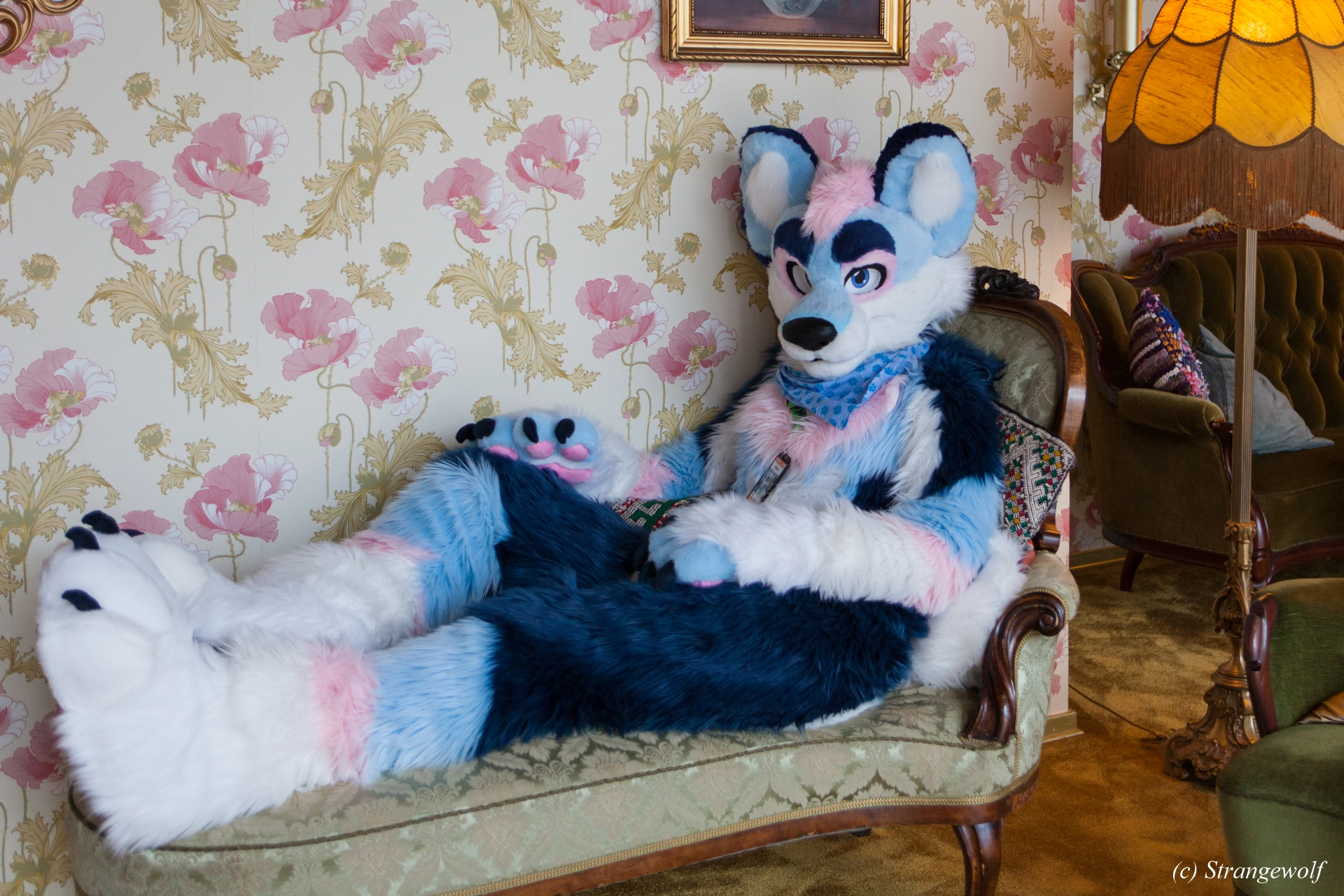 full image IMG_8467-lr19t.jpg