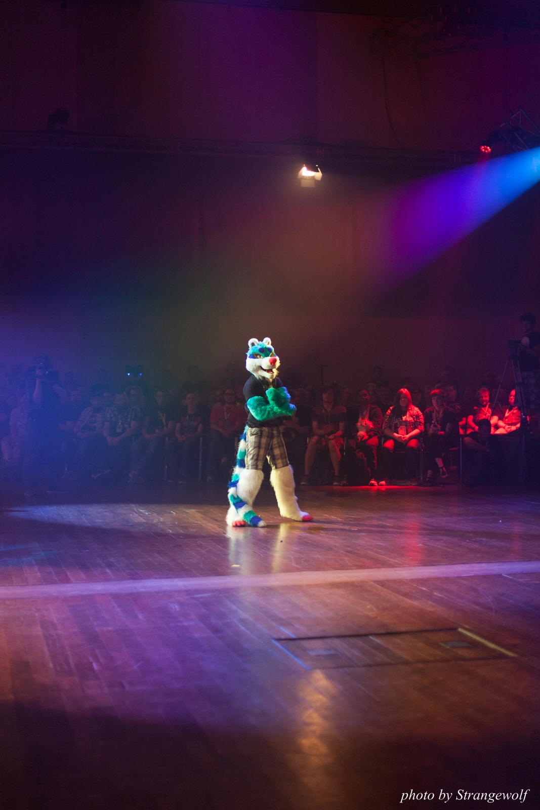 full image IMG_2890-lr16t.jpg