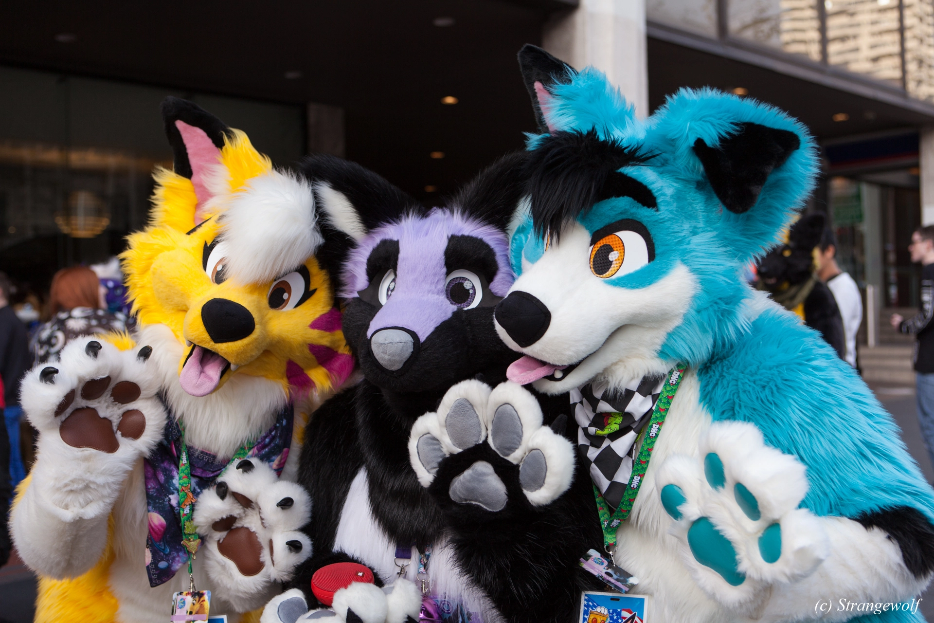 full image IMG_4575-lr19t.jpg