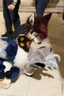 IMG_9219-lr19t.jpg of NFC/NFC2019/