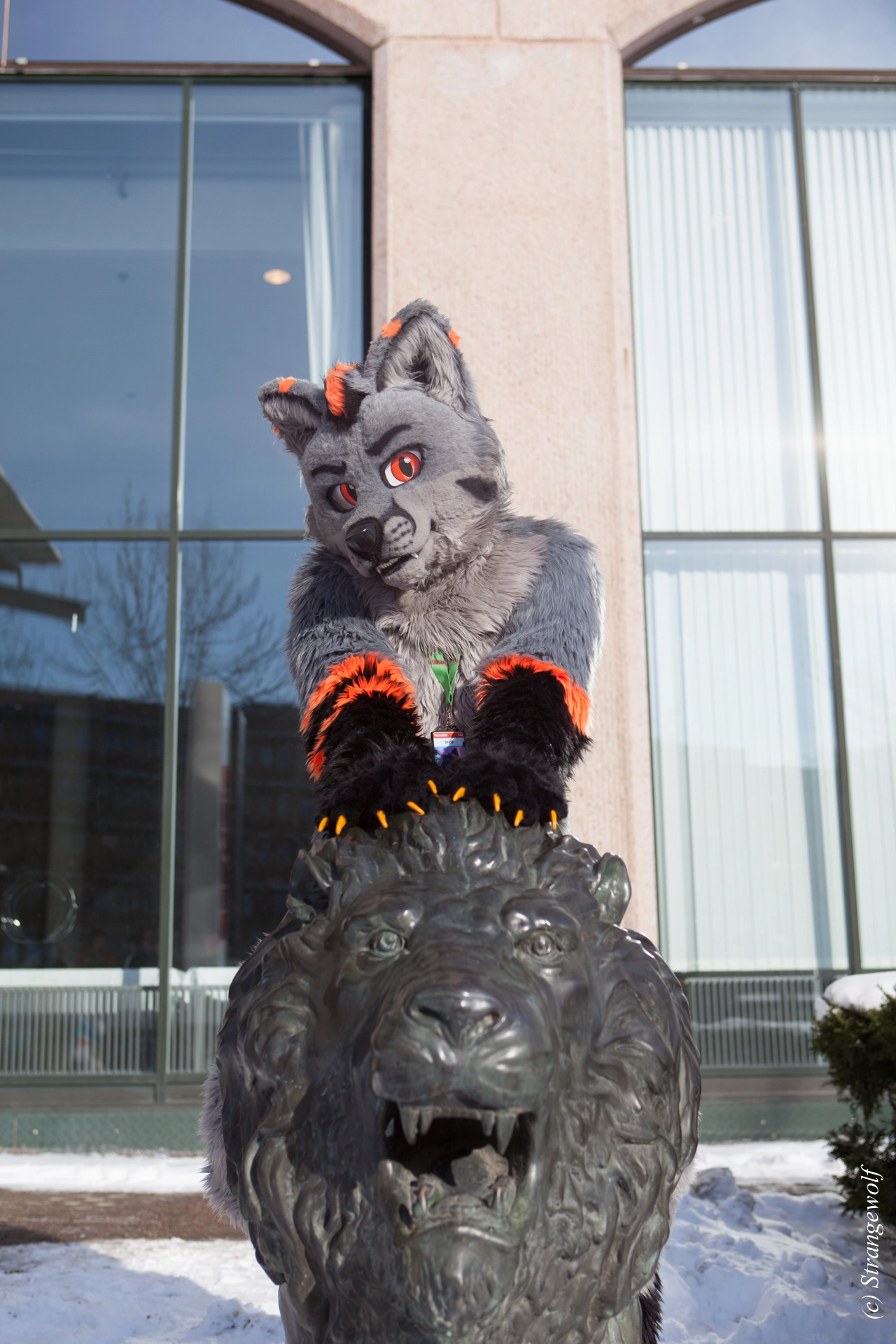 full image IMG_9689-lr19t.jpg