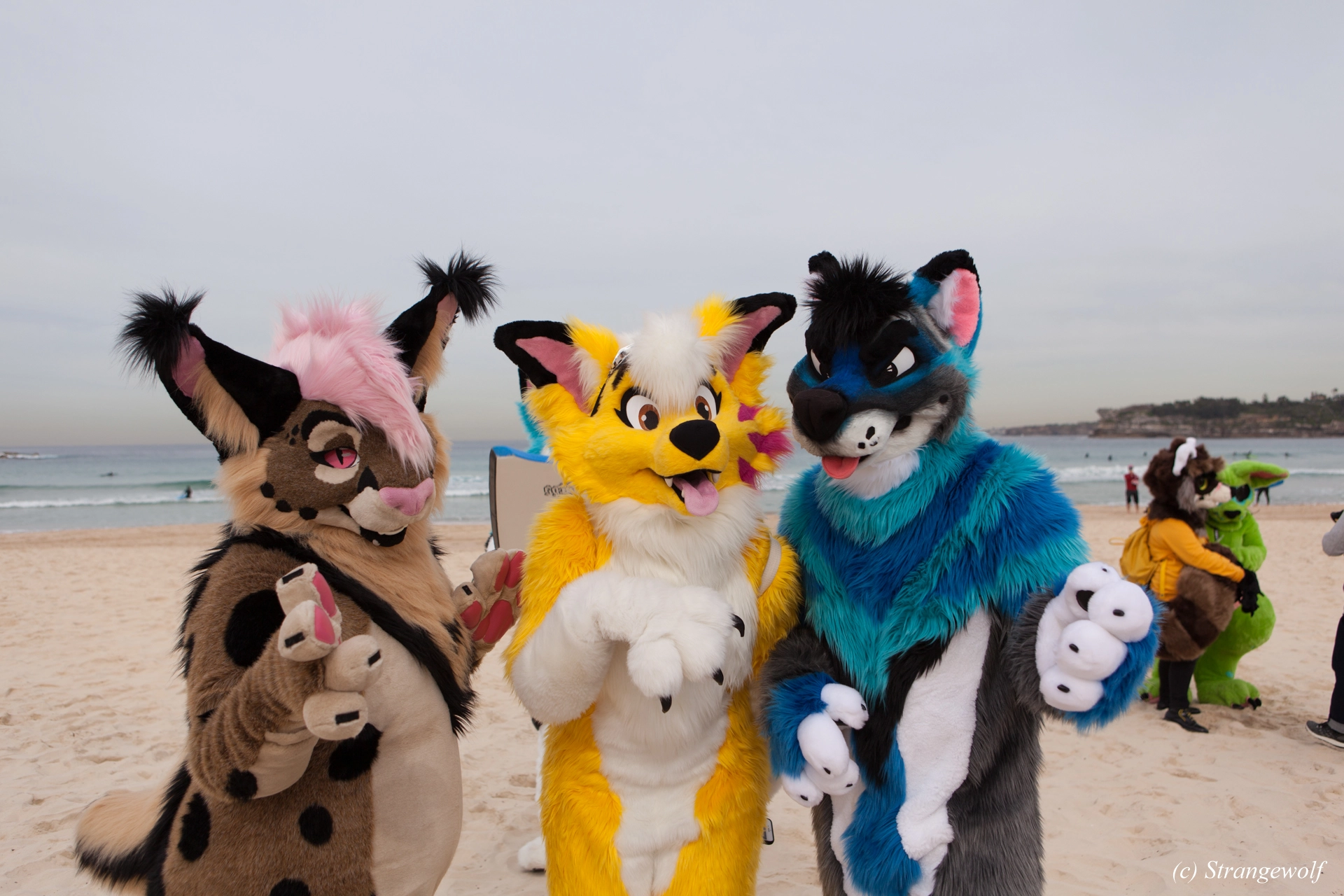 full image IMG_4491-lr19t.jpg