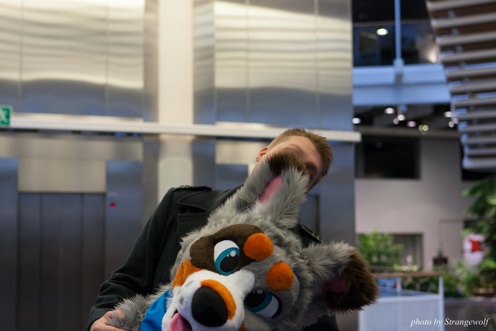 full image IMG_1658-lr16t.jpg