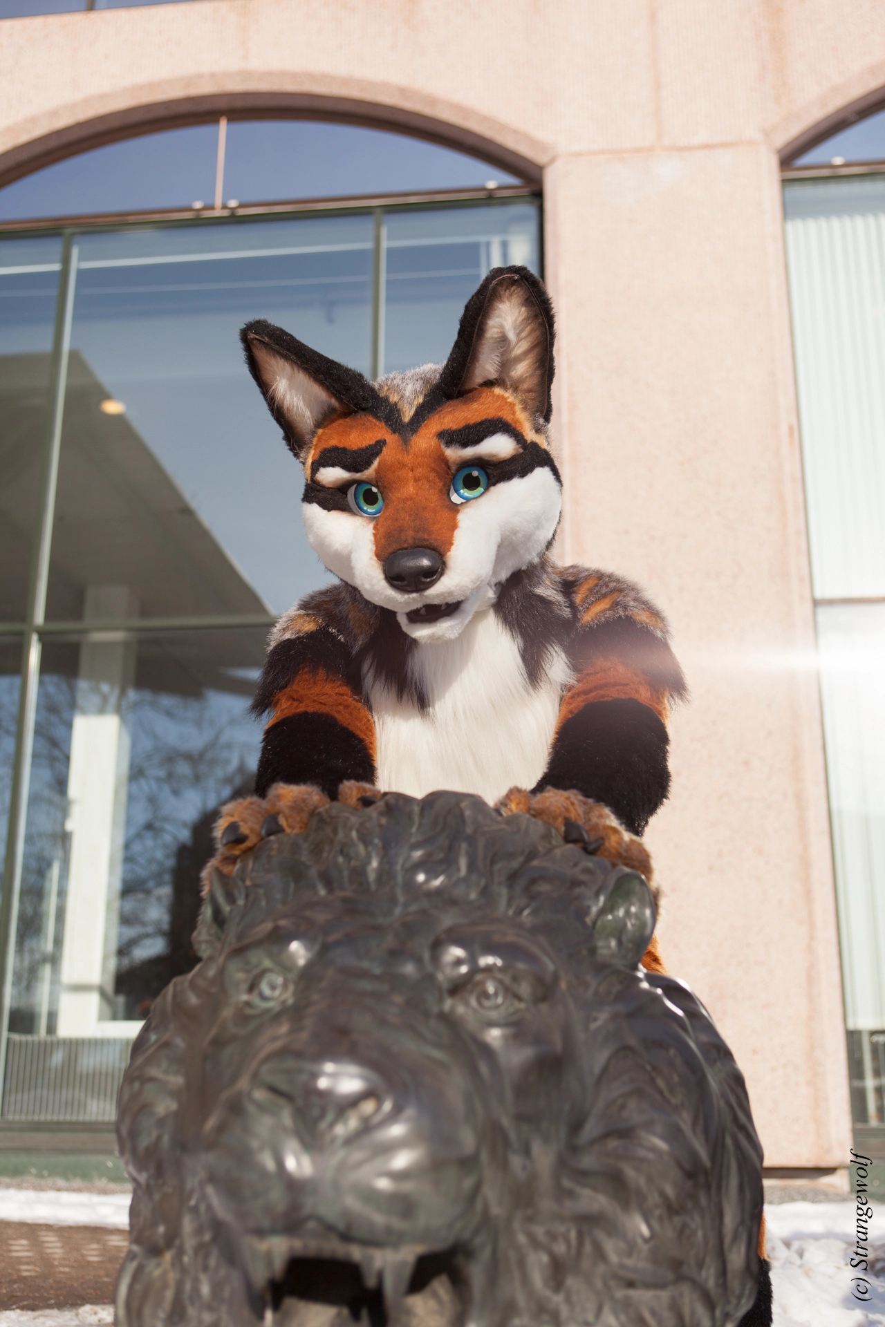 full image IMG_0047-lr19t.jpg