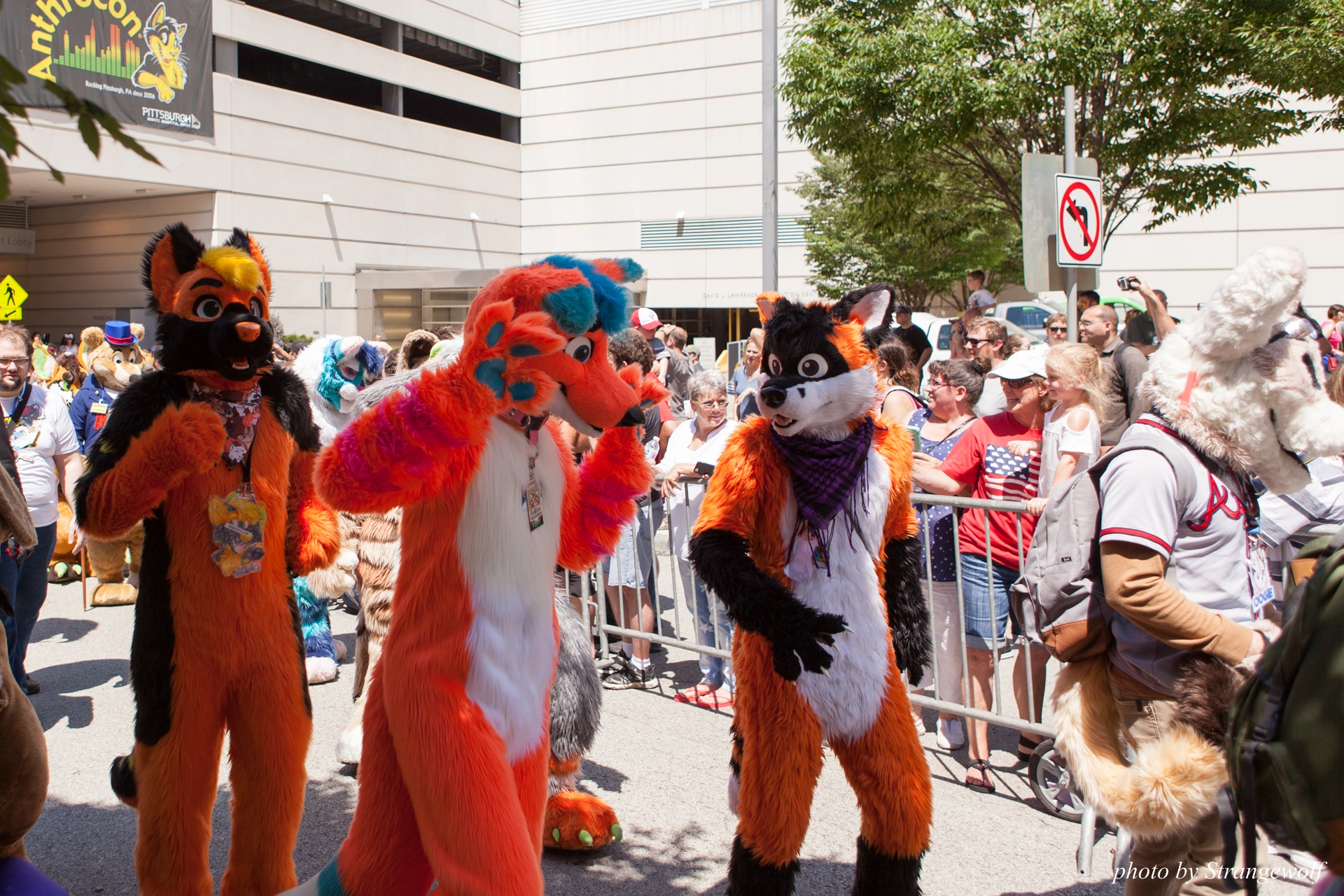 full image IMG_4546-lr19t.jpg