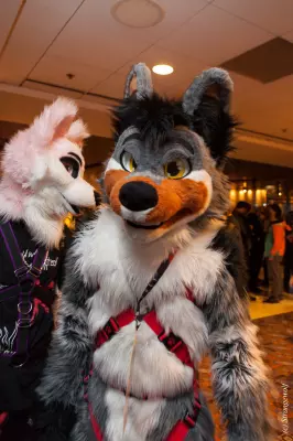 IMG_1845-lr19t.jpg of MFF/MFF2021/