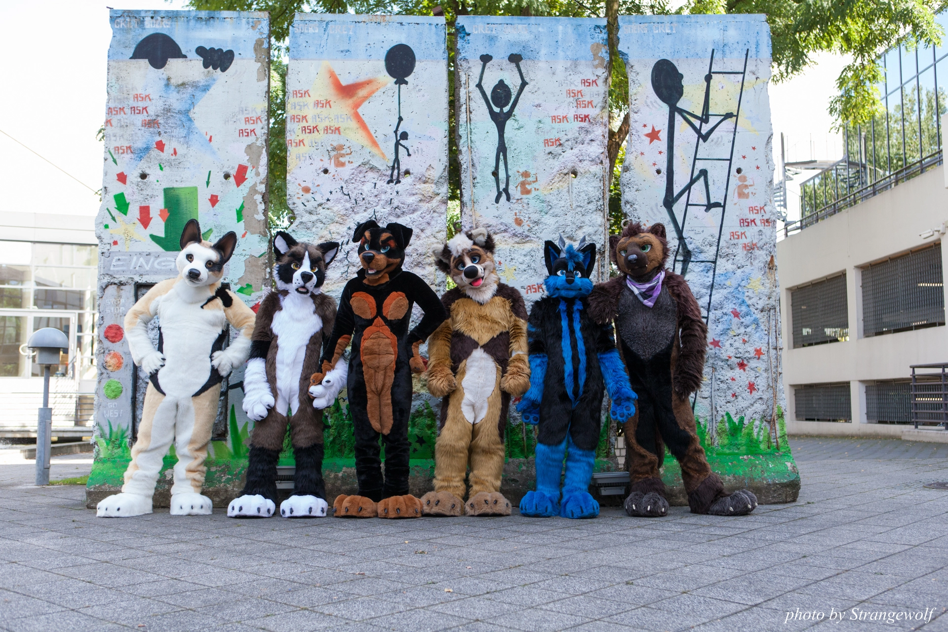 full image IMG_7040-lr19t.jpg