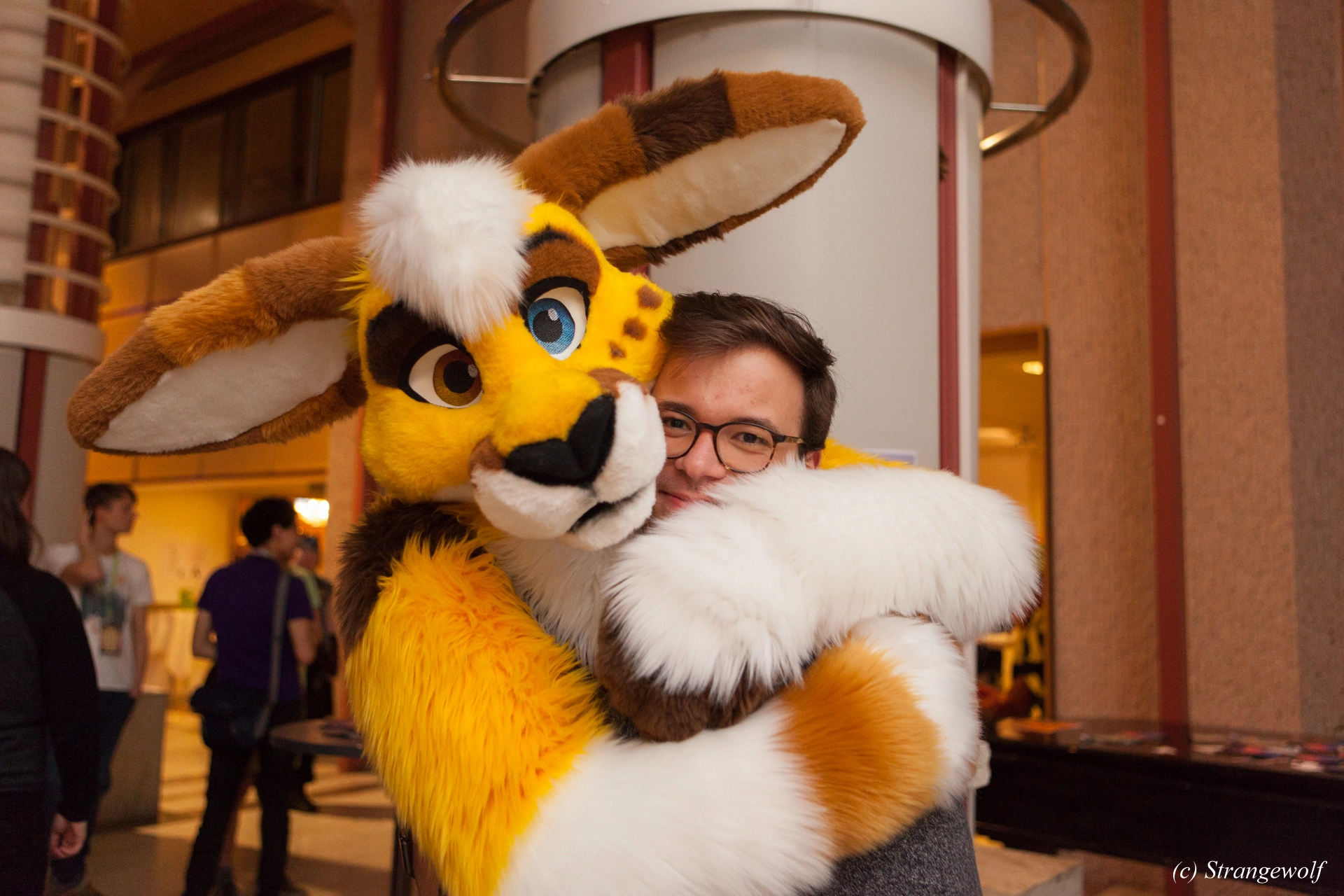 full image IMG_8930-lr19t.jpg