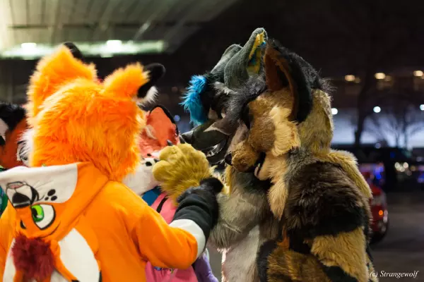IMG_8078-lr19t.jpg of MFF/MFF2019/