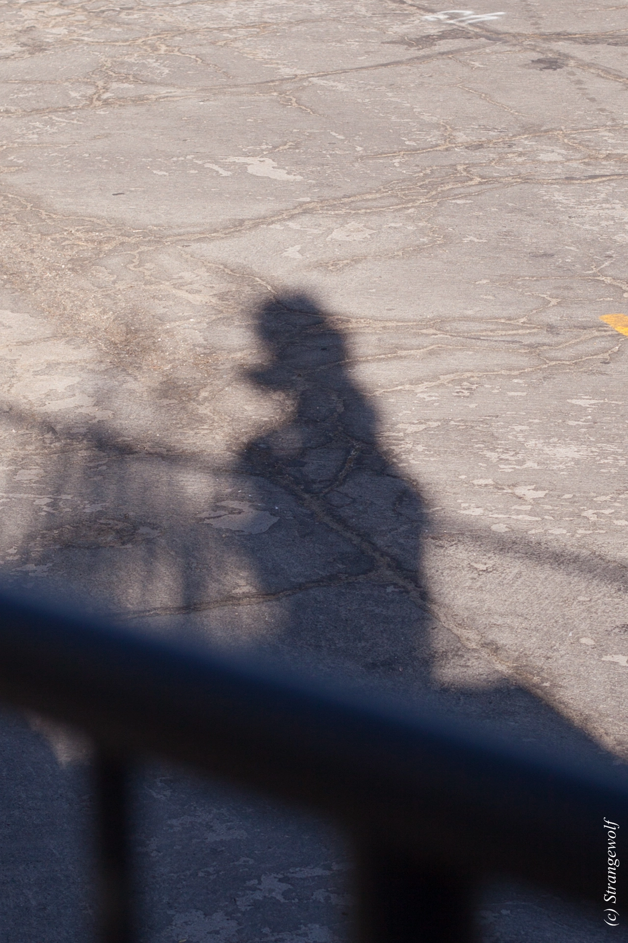 full image IMG_2501-lr19t.jpg
