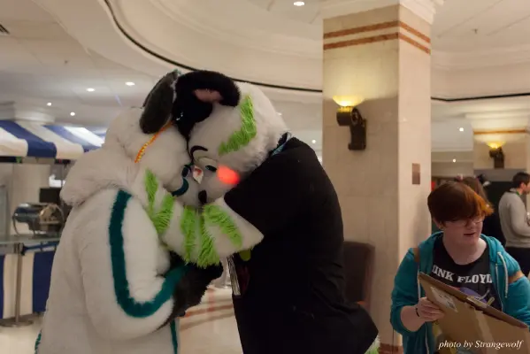 IMG_7587-lr16t.jpg of CFZ/CFZ2016/