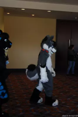 IMG_0535-lr.jpg of MFF/MFF2013/