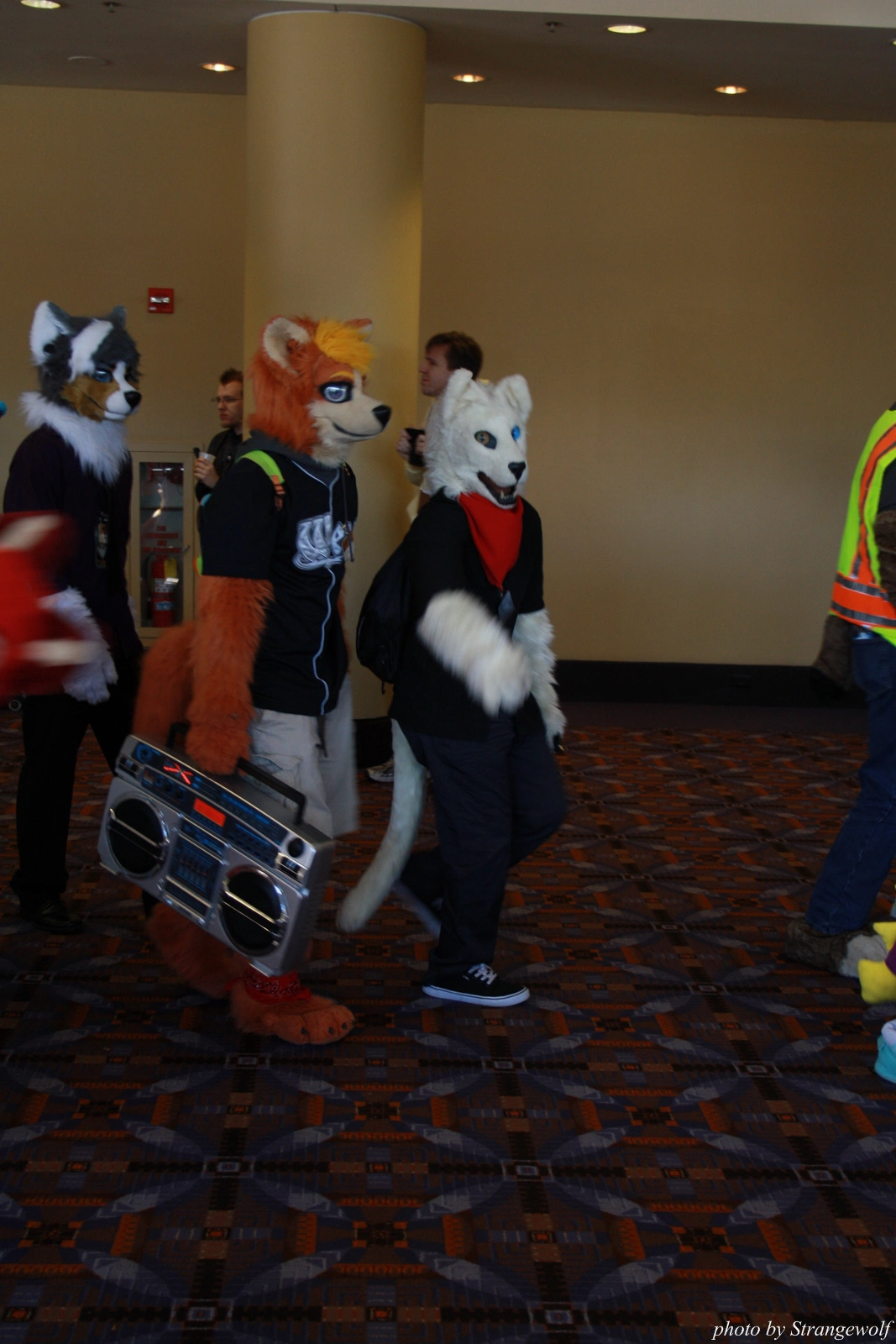 full image IMG_0500-lr.jpg