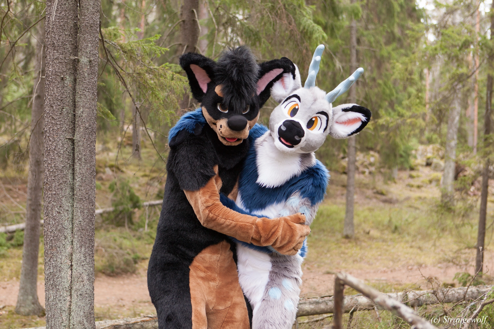 full image IMG_8553-lr19t.jpg