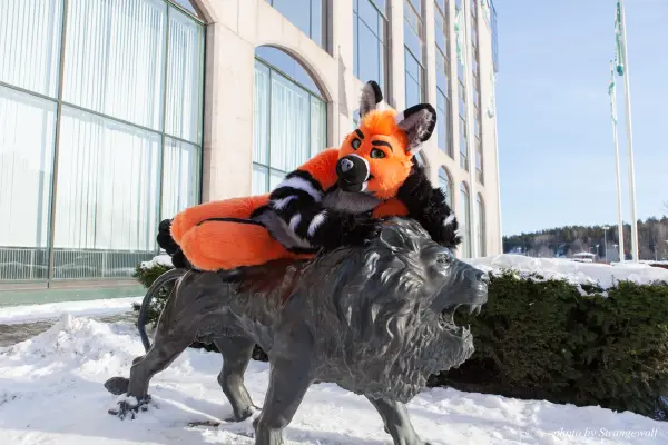 IMG_0100-lr19t.jpg of NFC/NFC2018/