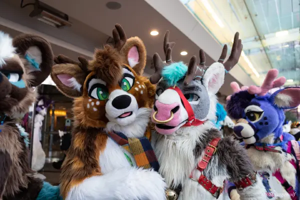 1R3A6180-lr19t.jpg of MFF/MFF2024/