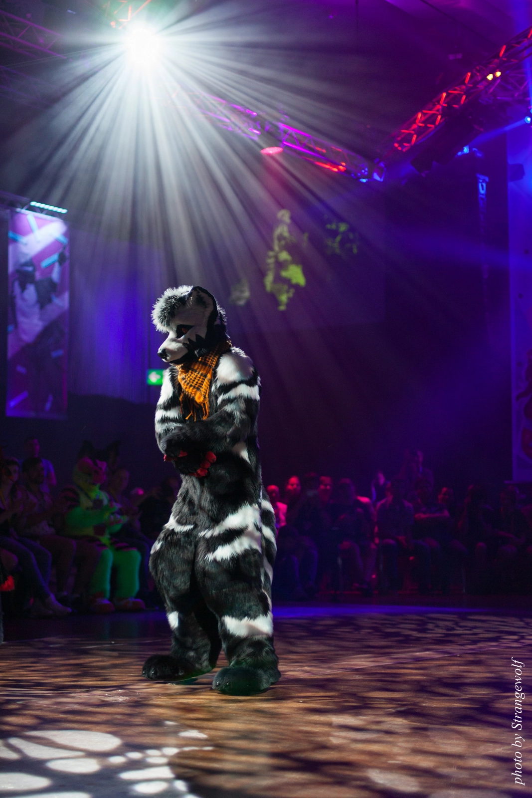 full image IMG_9910-lr16t.jpg