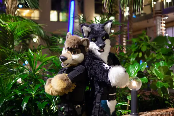 IMG_0743-lr19t.jpg of NFC/NFC2018/