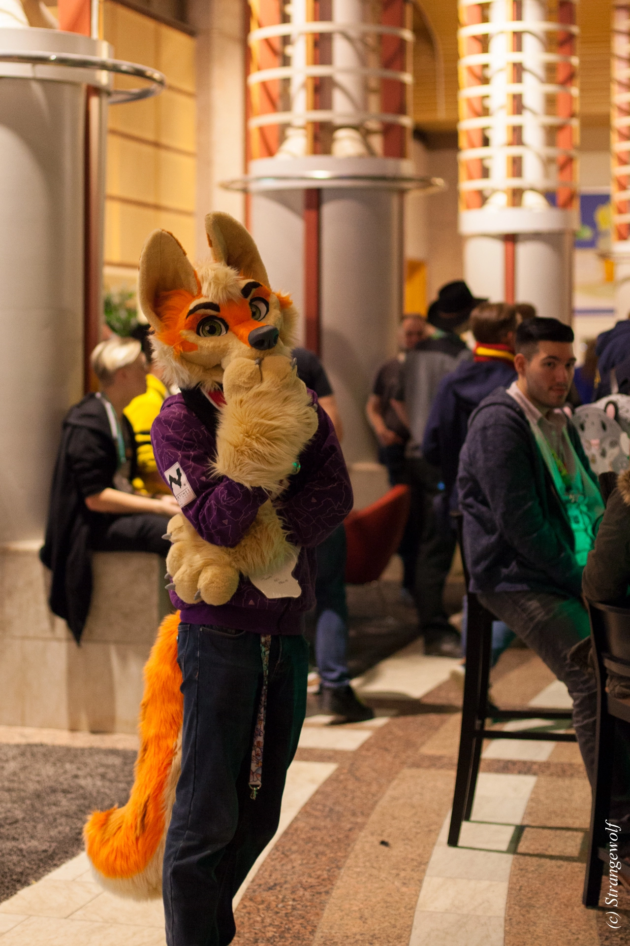 full image IMG_9657-lr19t.jpg