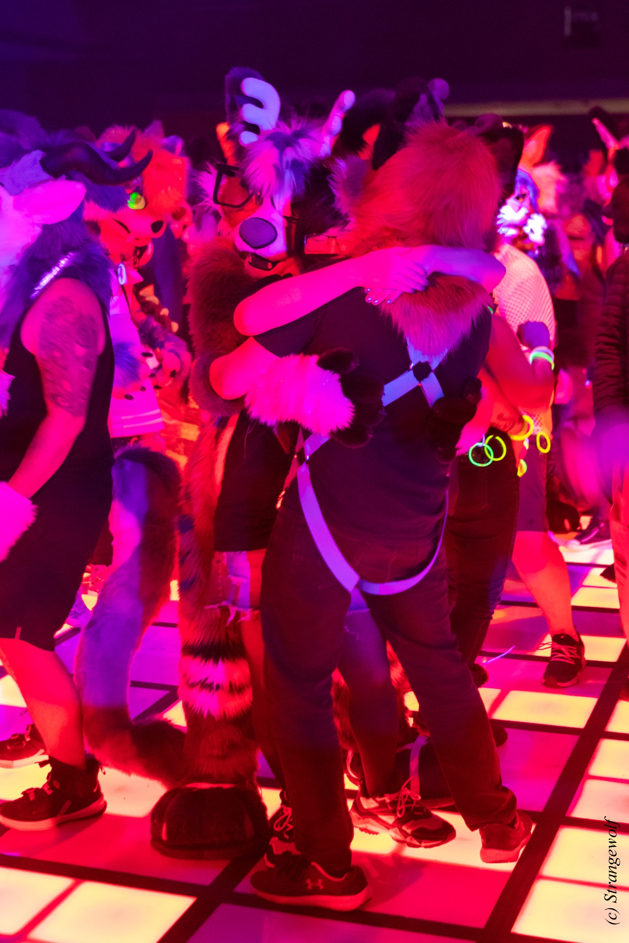 full image 1R3A1012-lr19t.jpg