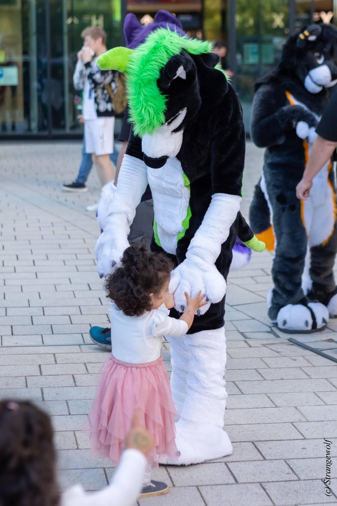 full image 1R3A9325-lr19t.jpg