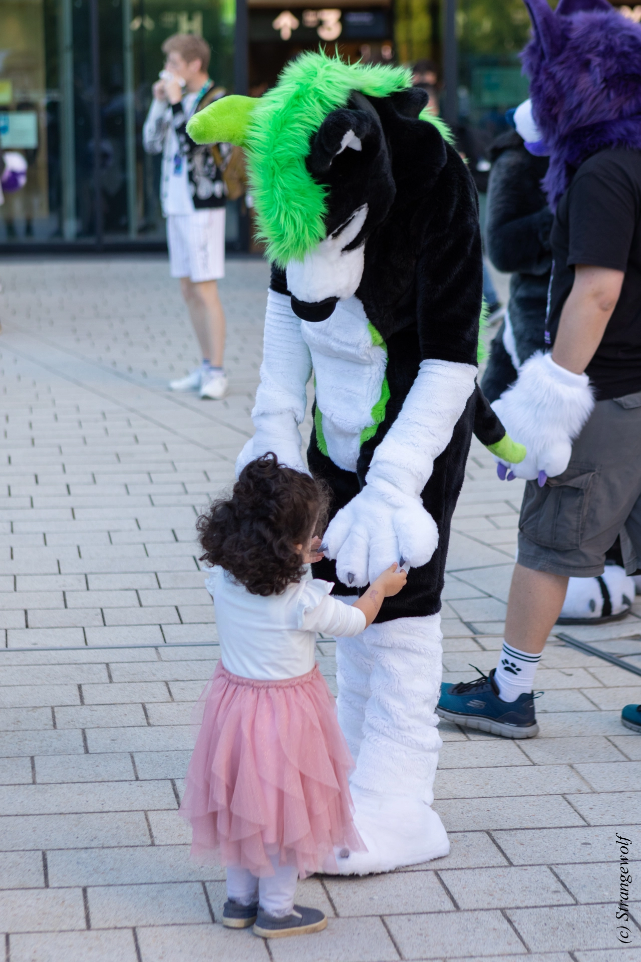 full image 1R3A9323-lr19t.jpg