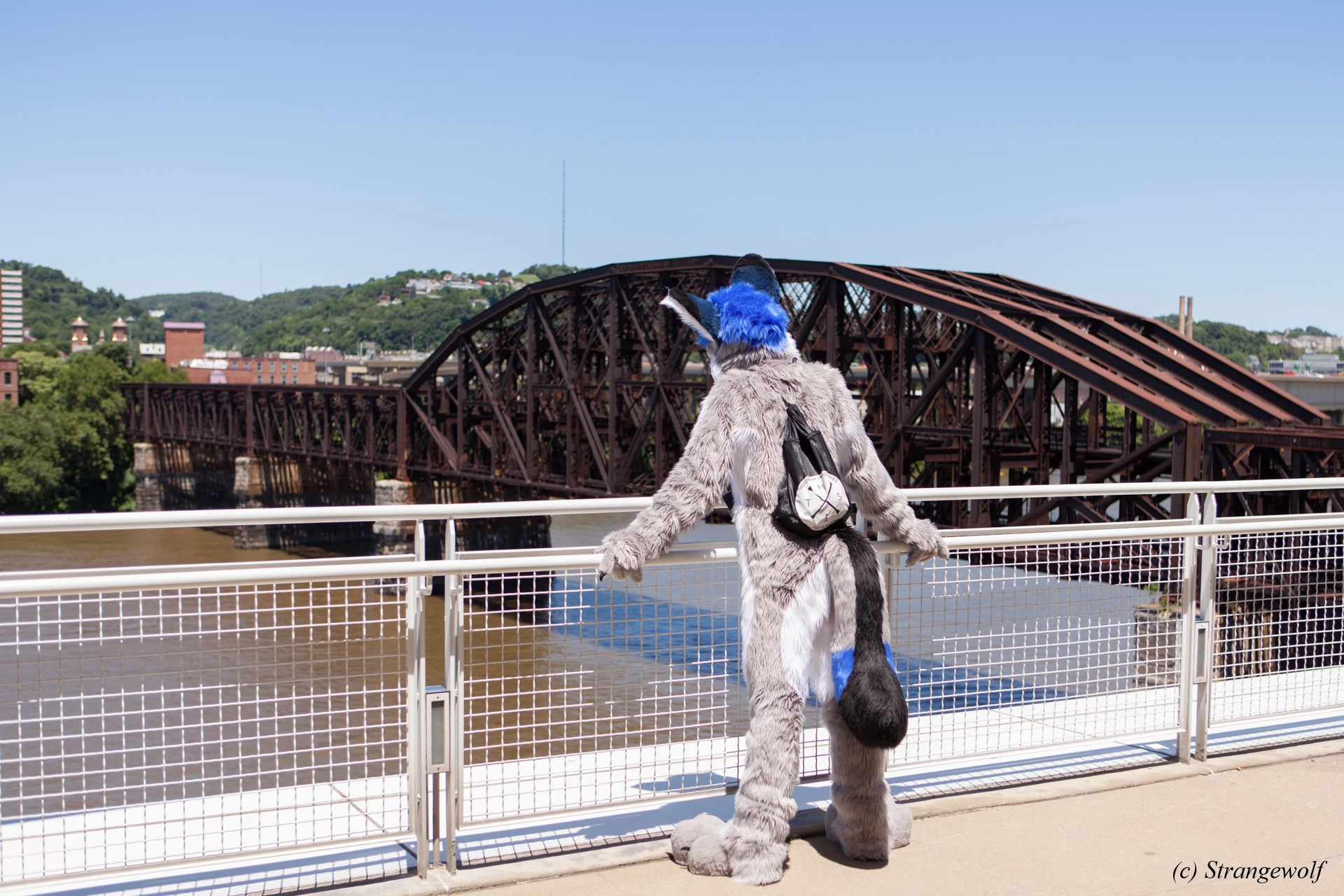 full image IMG_3799-lr19t.jpg