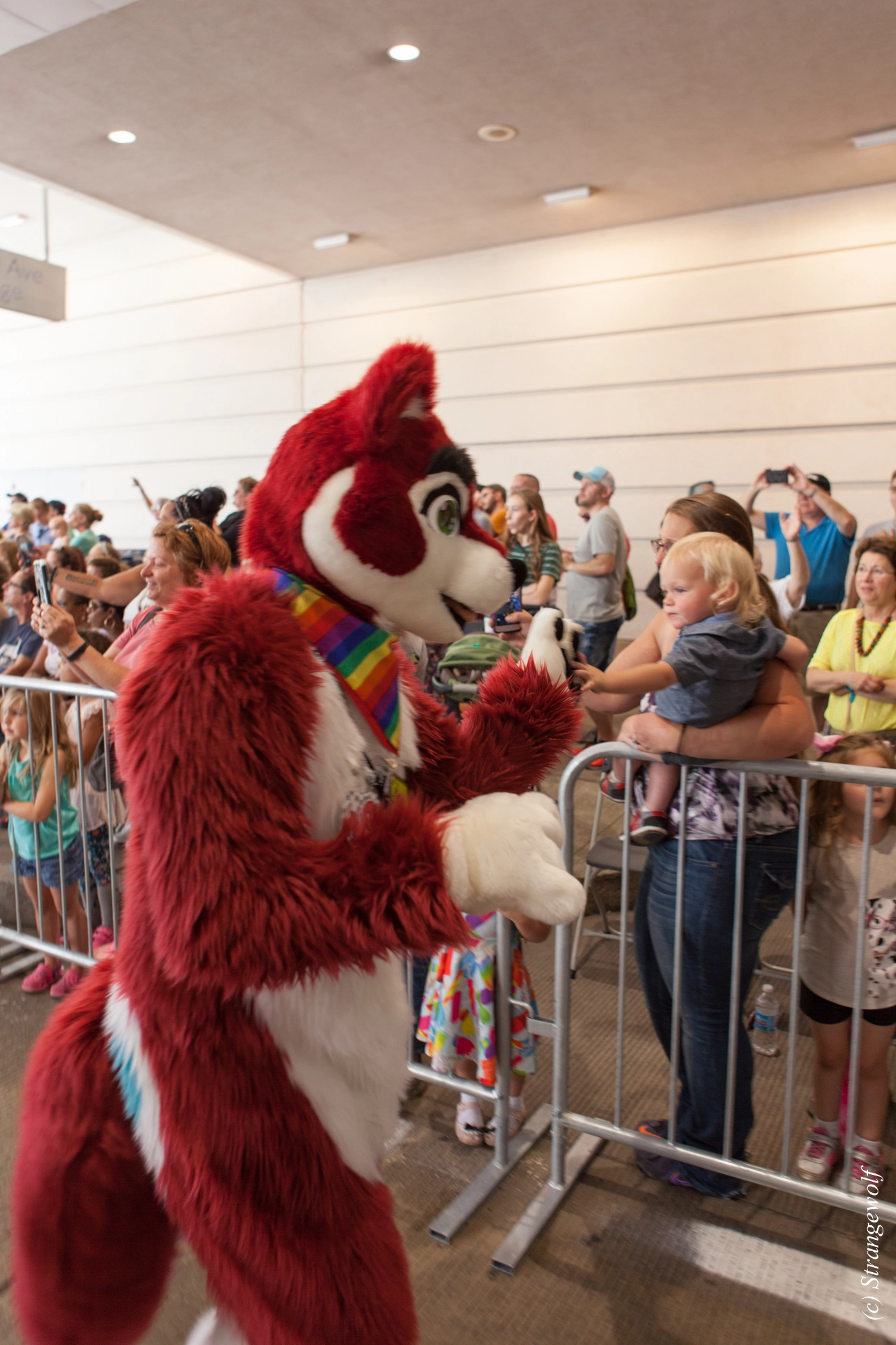 full image IMG_3856-lr19t.jpg