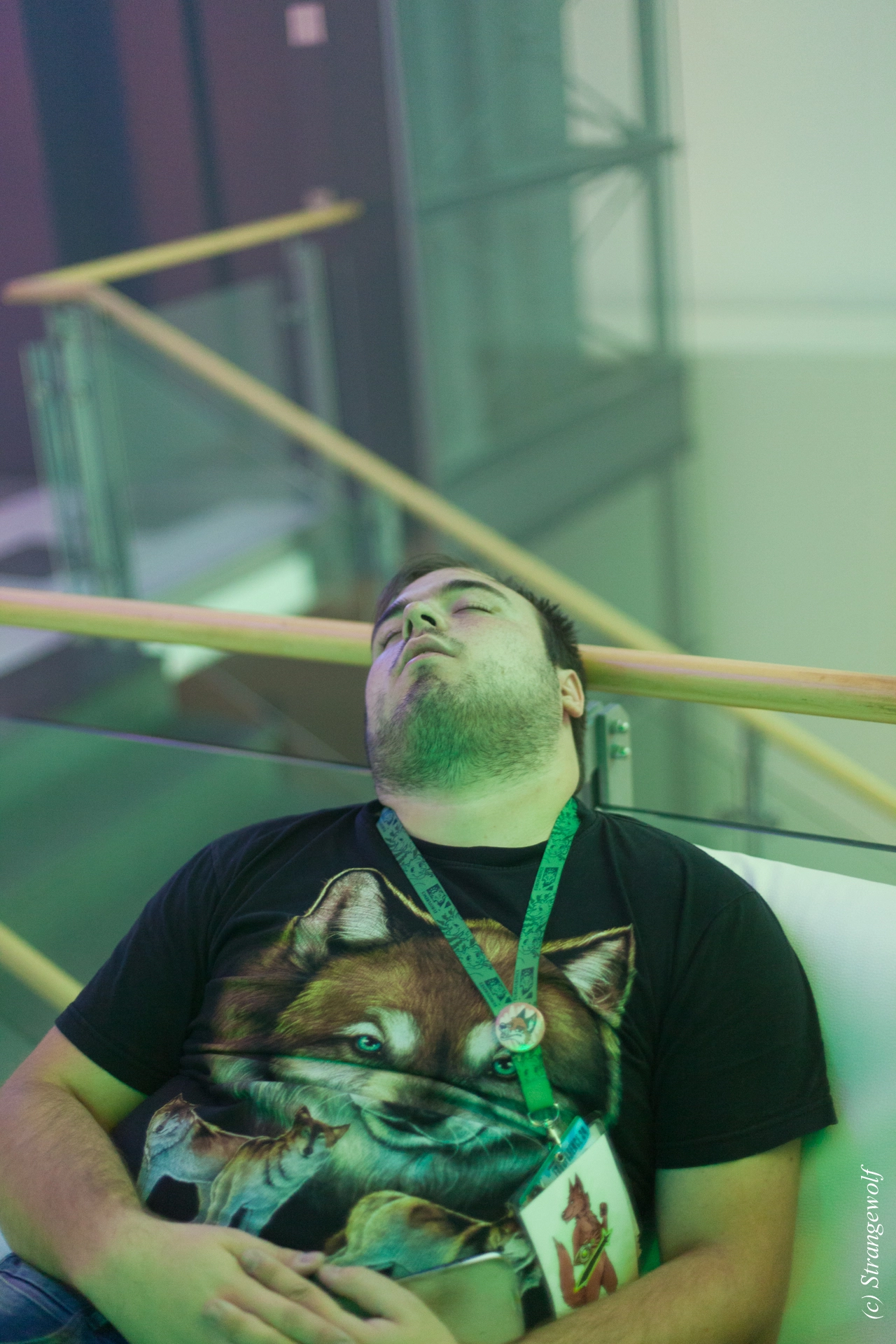 full image IMG_5493-lr19t.jpg