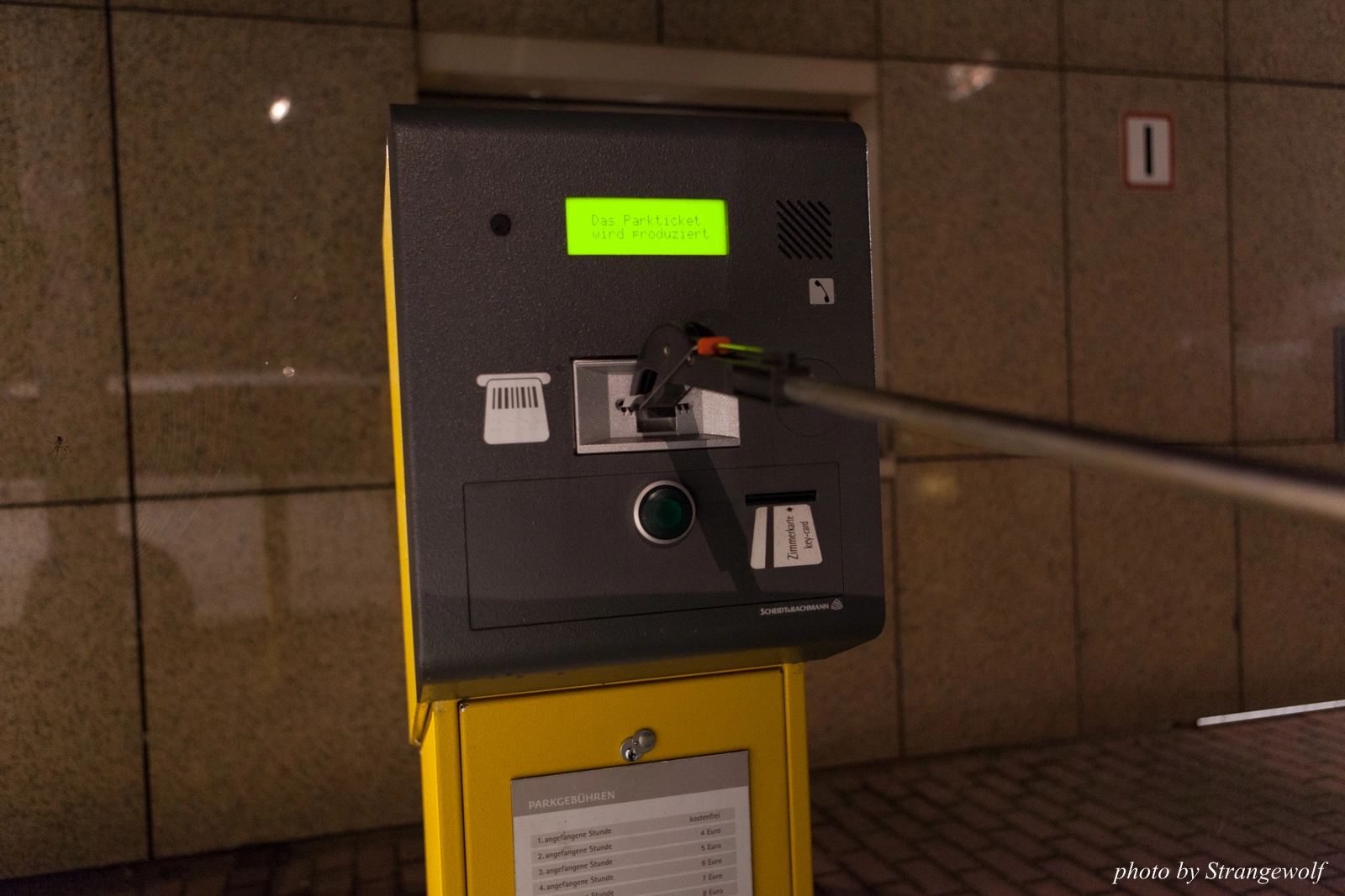 full image IMG_5772-lr16t.jpg