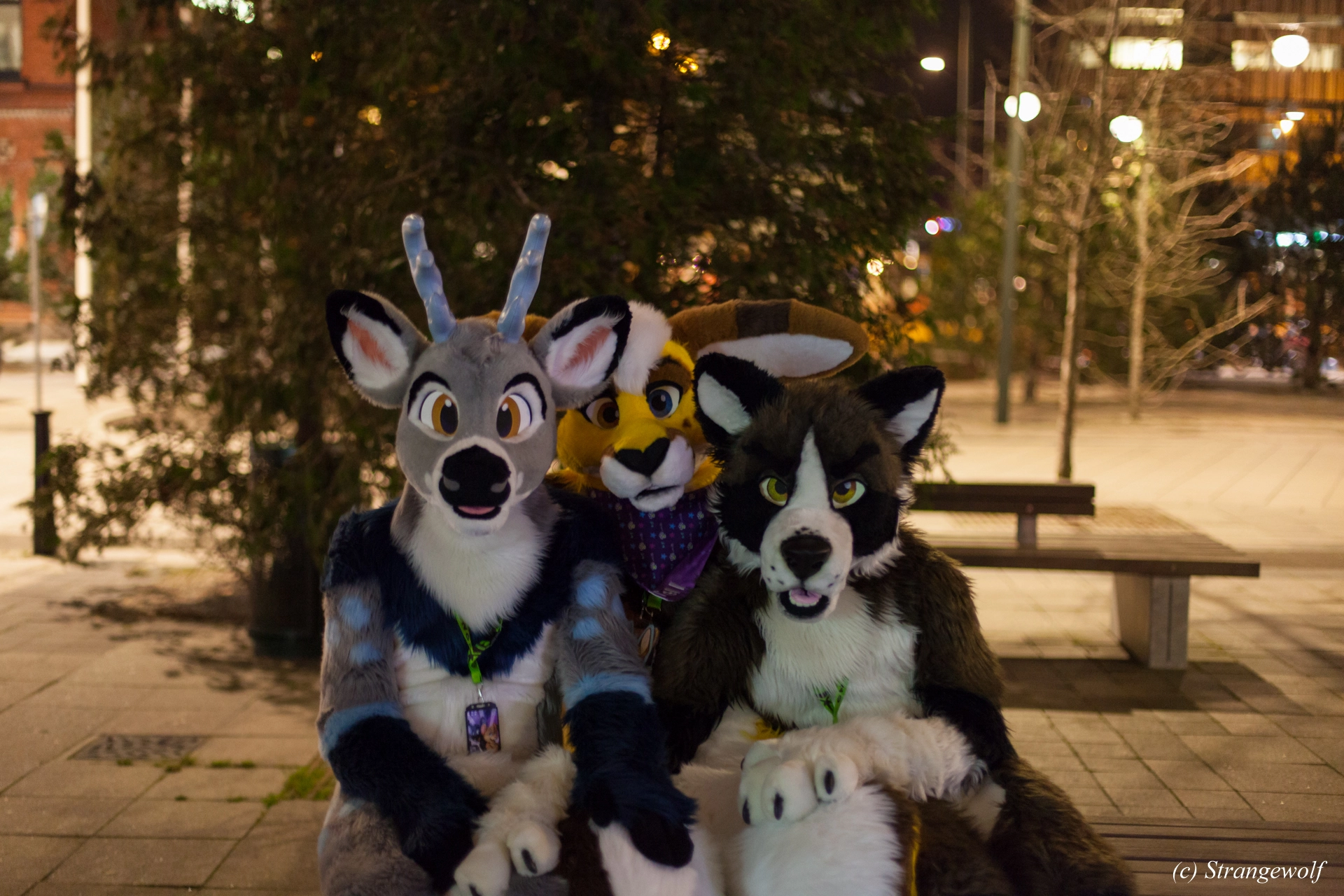 full image IMG_9402-lr19t.jpg