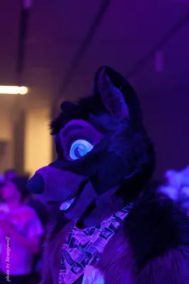 IMG_1215-lr16t.jpg of FC/FC2017/