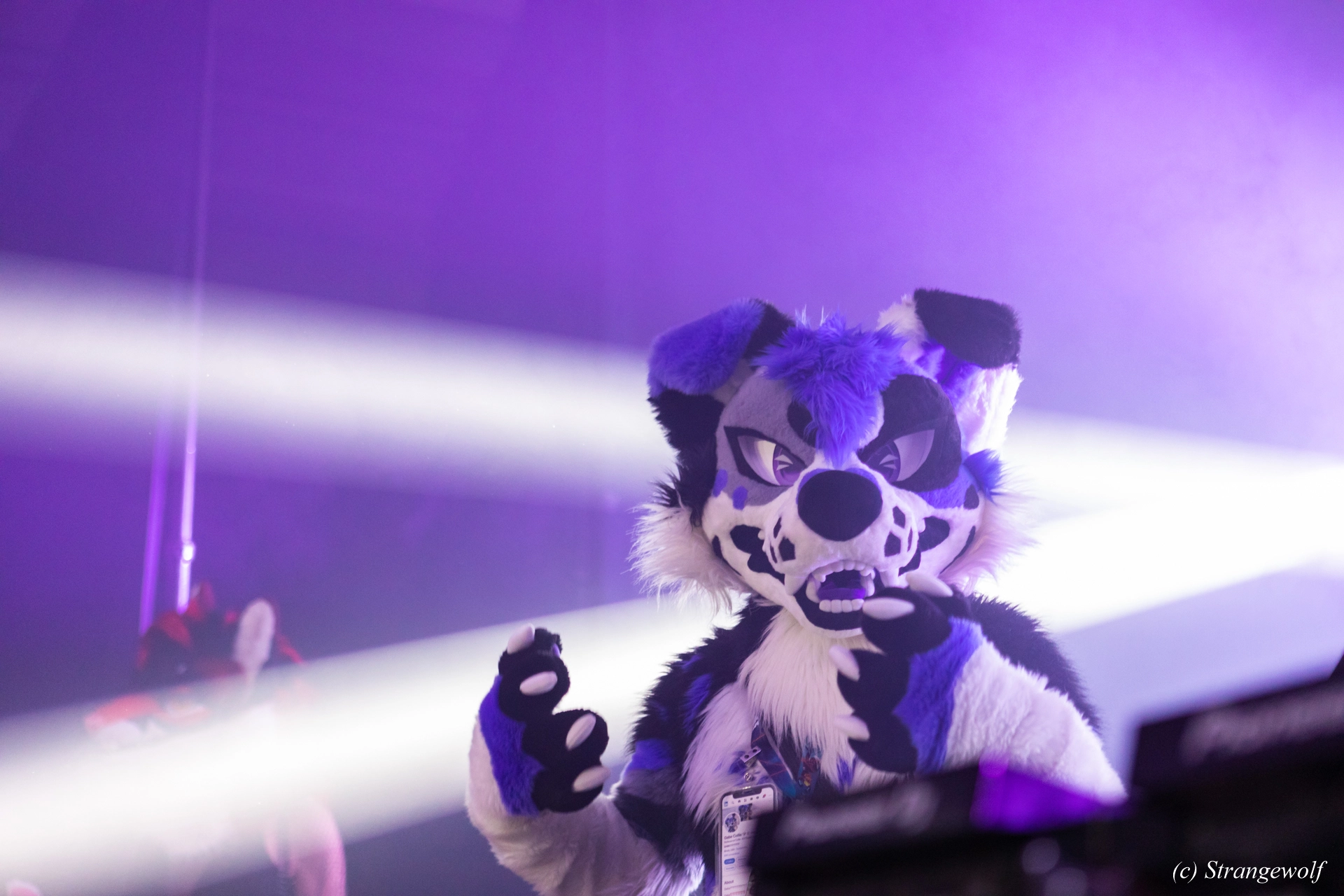 full image 1R3A5448-lr19t.jpg