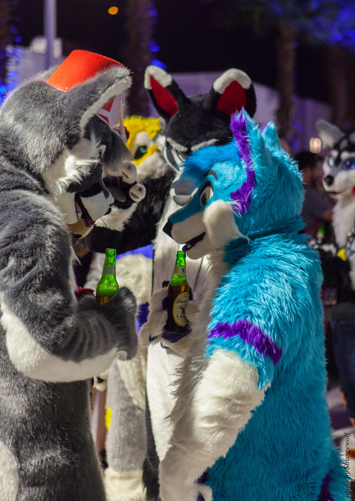 full image IMG_8610-lr16t.jpg