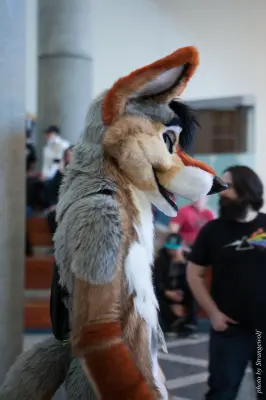 IMG_1066-lr16t.jpg of FC/FC2017/