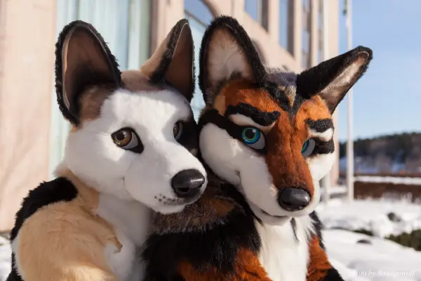 IMG_0086-lr19t.jpg of NFC/NFC2018/