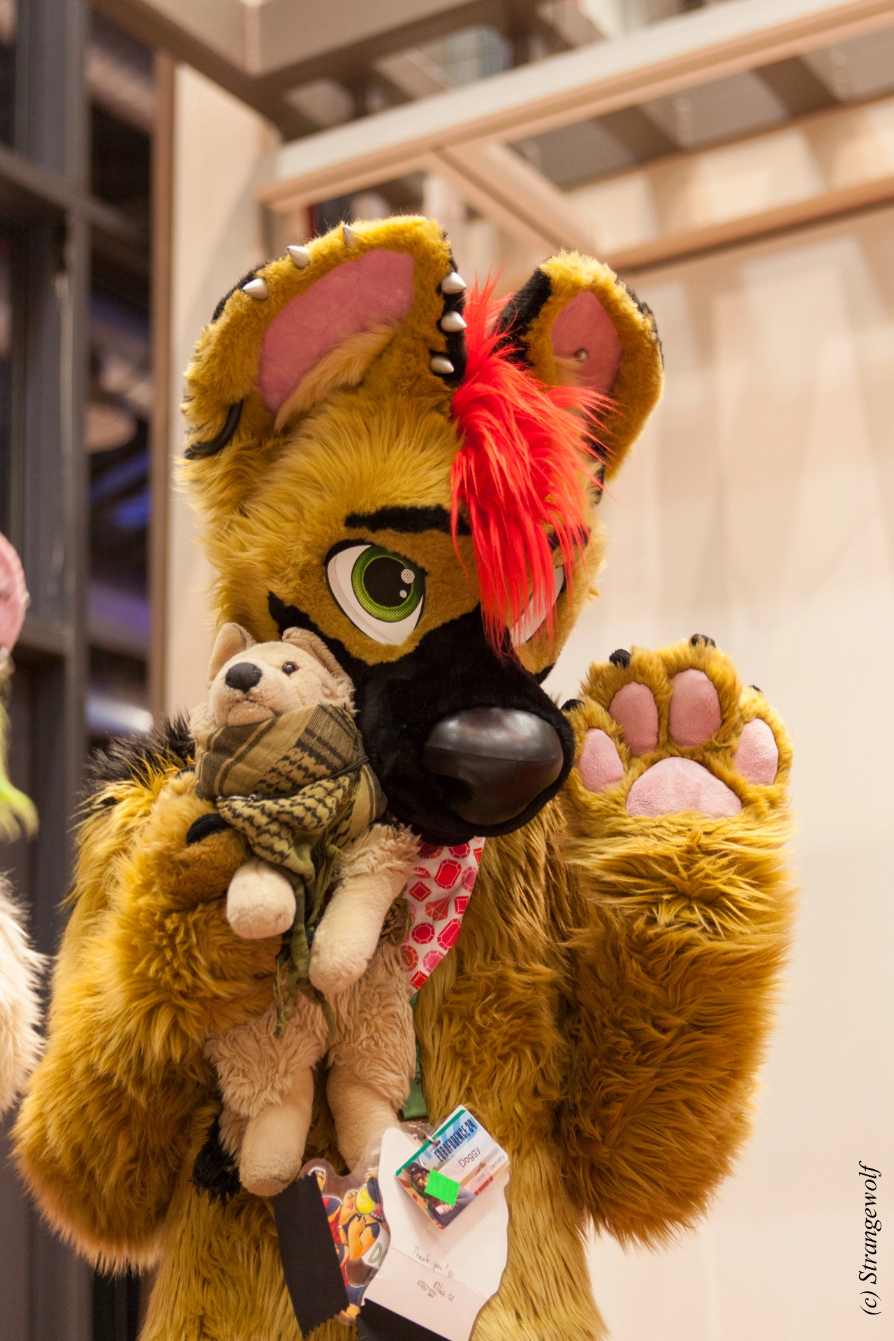 full image IMG_5106-lr19t.jpg