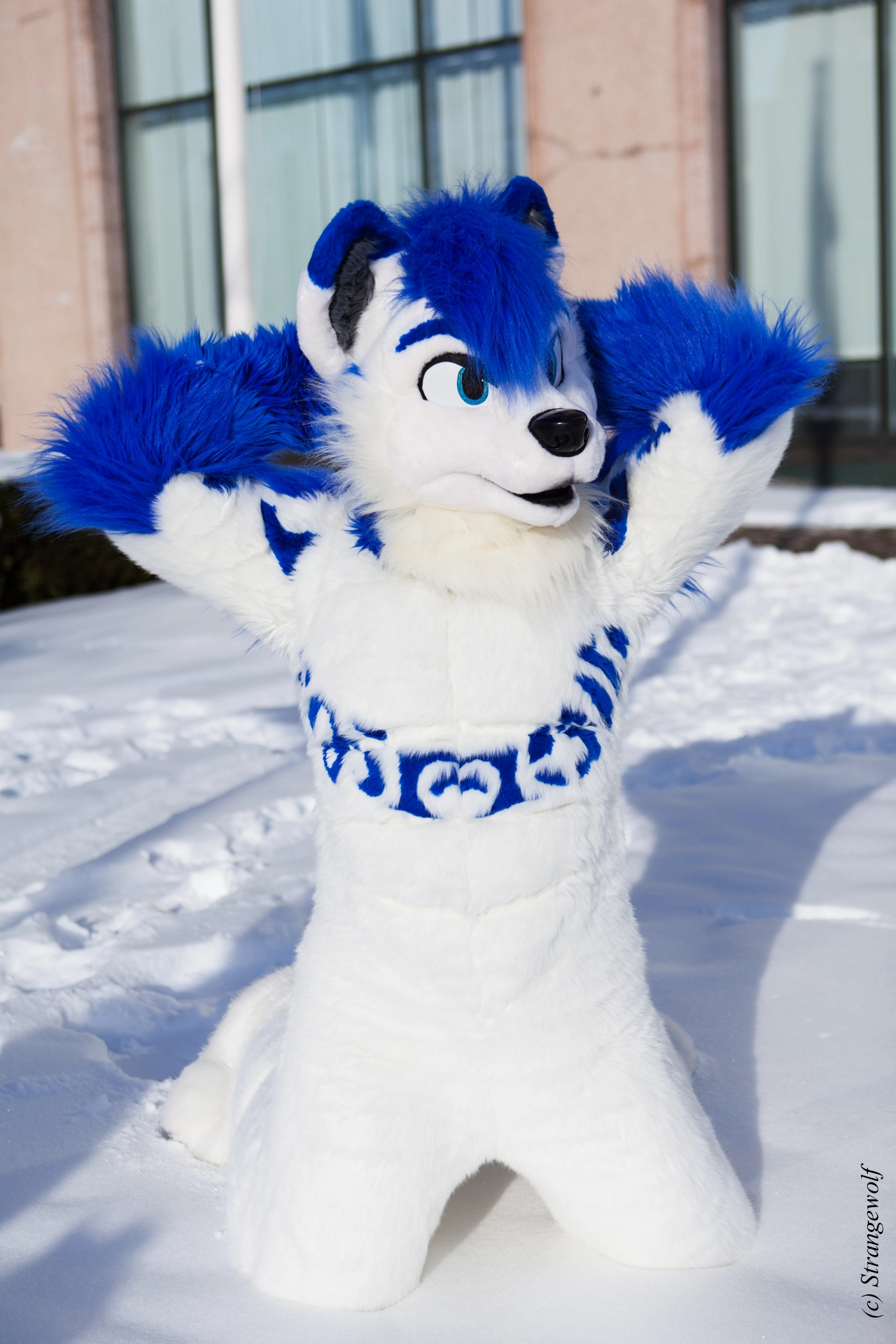 full image IMG_9917-lr19t.jpg