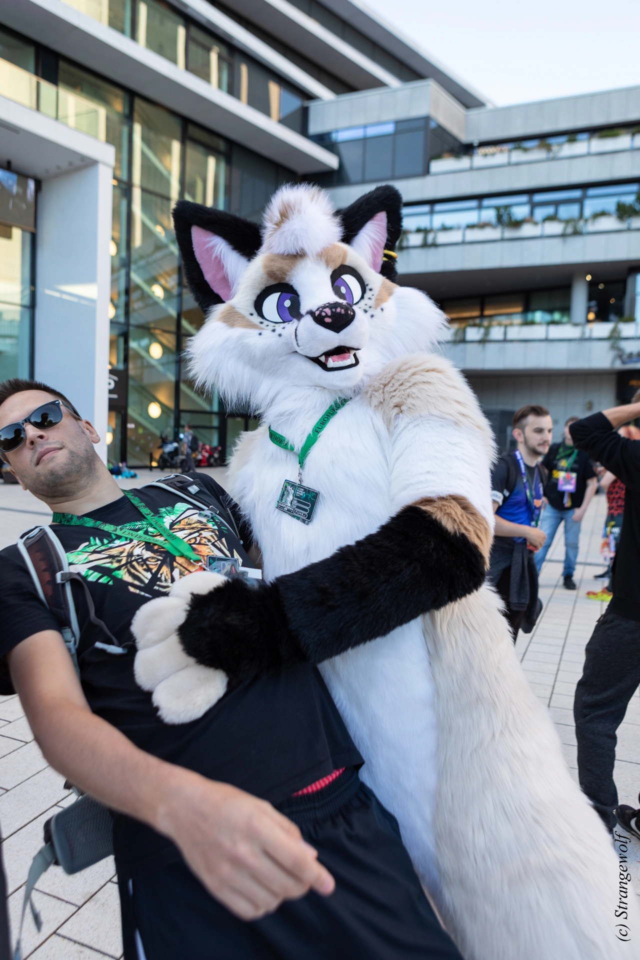 full image 1R3A9347-lr19t.jpg