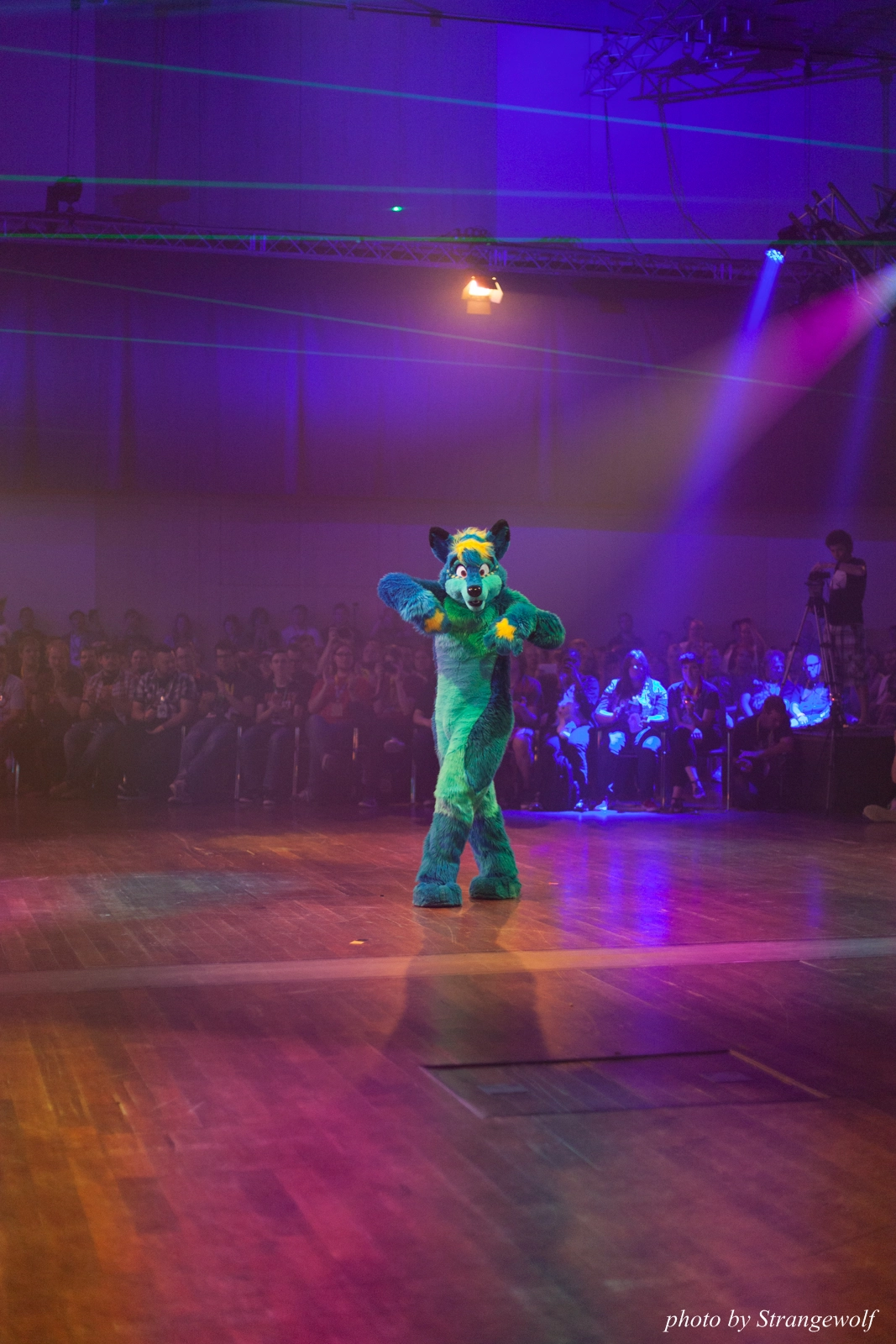 full image IMG_2800-lr16t.jpg