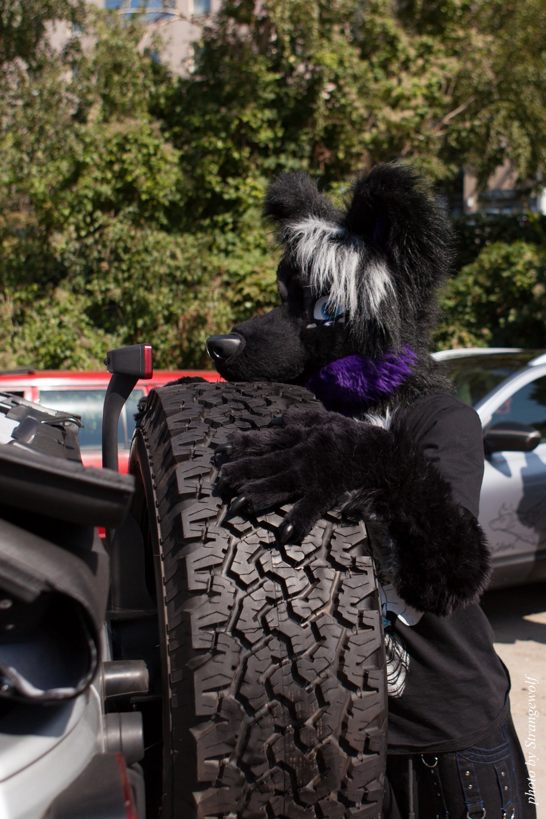 full image IMG_2309-lr16t.jpg