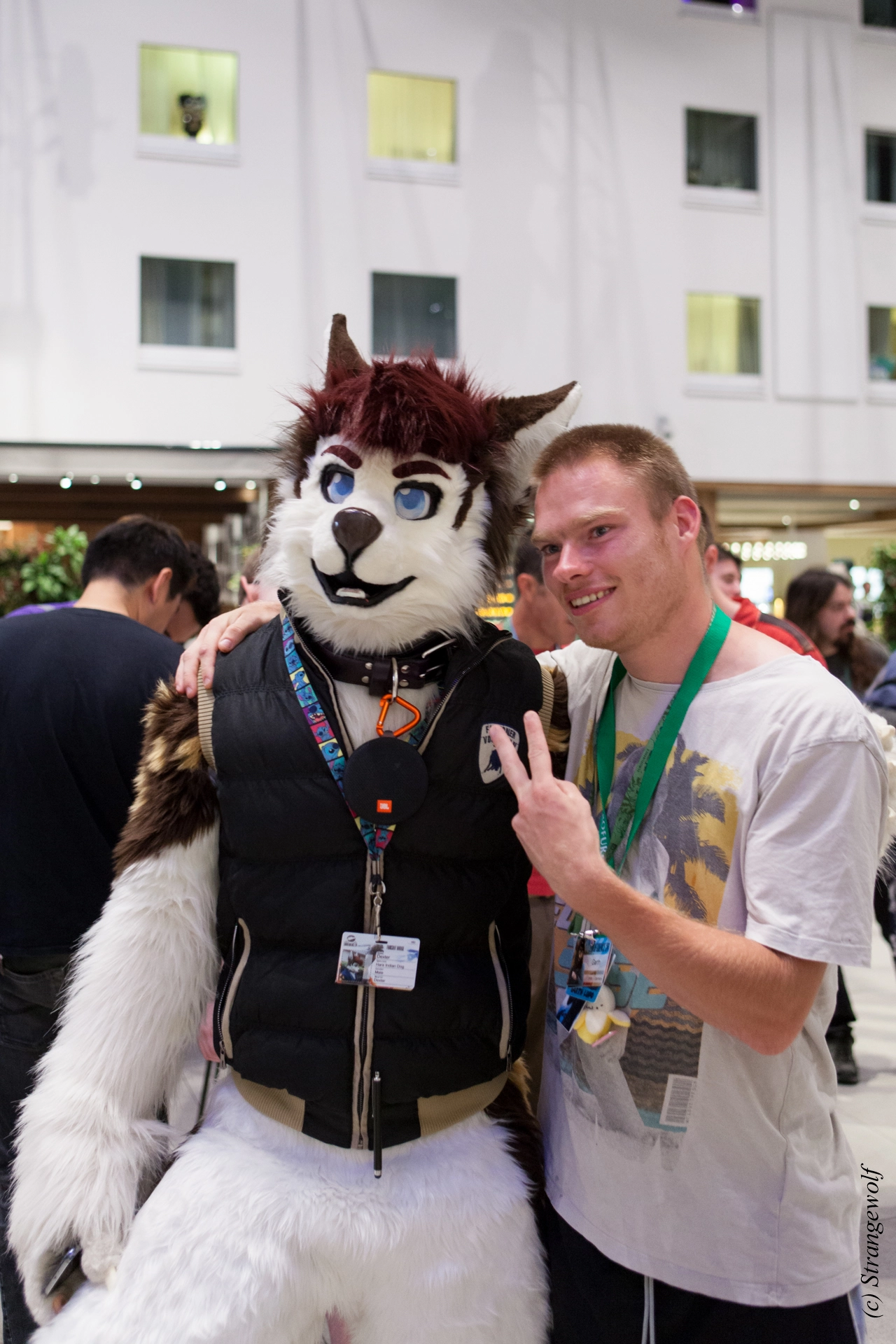 full image IMG_4804-lr19t.jpg