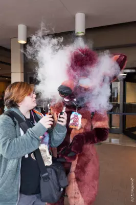 IMG_8450-lr19t.jpg of MFF/MFF2017/