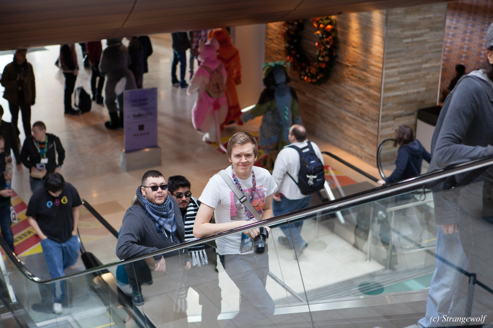 full image IMG_7052-lr19t.jpg
