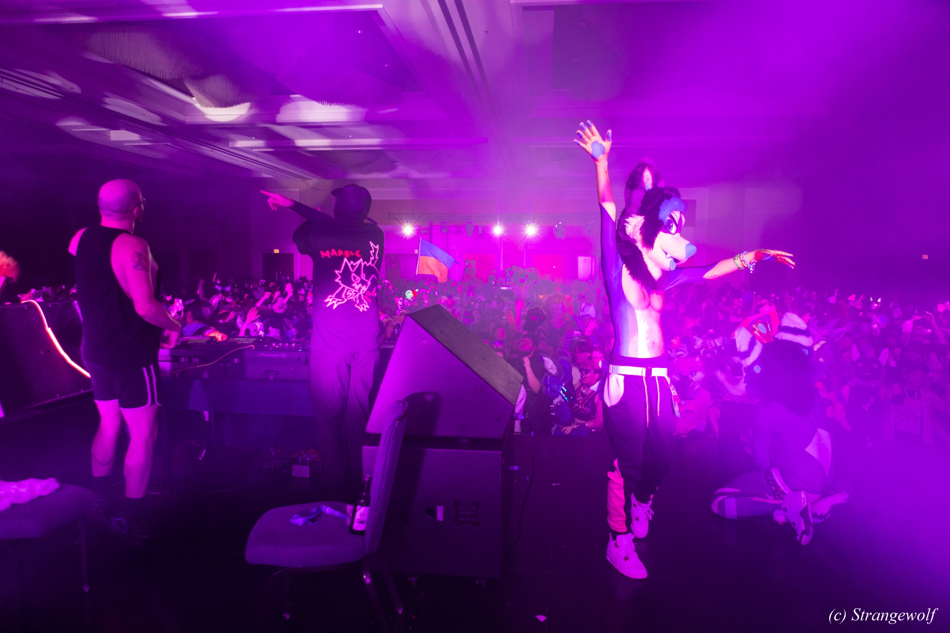 full image 1R3A7101-lr19t.jpg