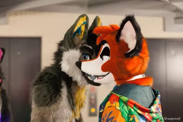 IMG_8108-lr19t.jpg of MFF/MFF2019/