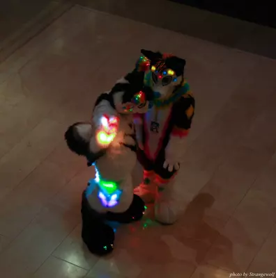IMG_0453-lr.jpg of MFF/MFF2013/