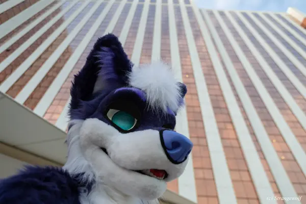 1R3A3231-lr19t.jpg of BLFC/BLFC2023/