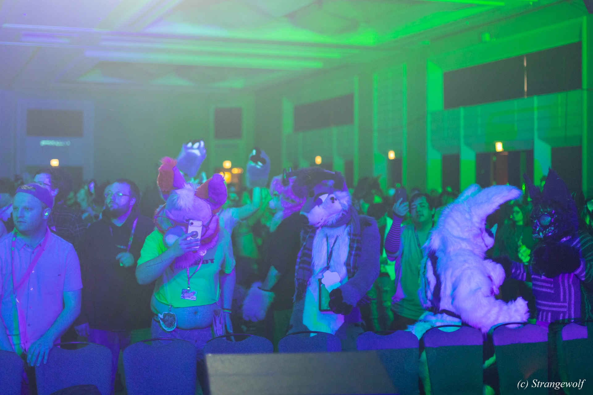 full image 1R3A0497-lr19t.jpg