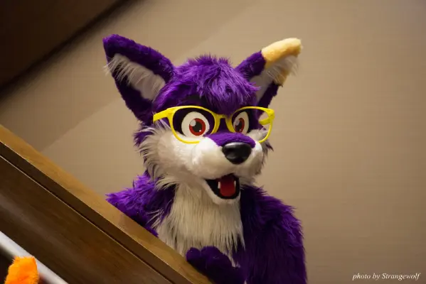 IMG_1006-lr16t.jpg of FC/FC2017/